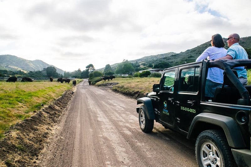 Rugged Jeep Eco Tour