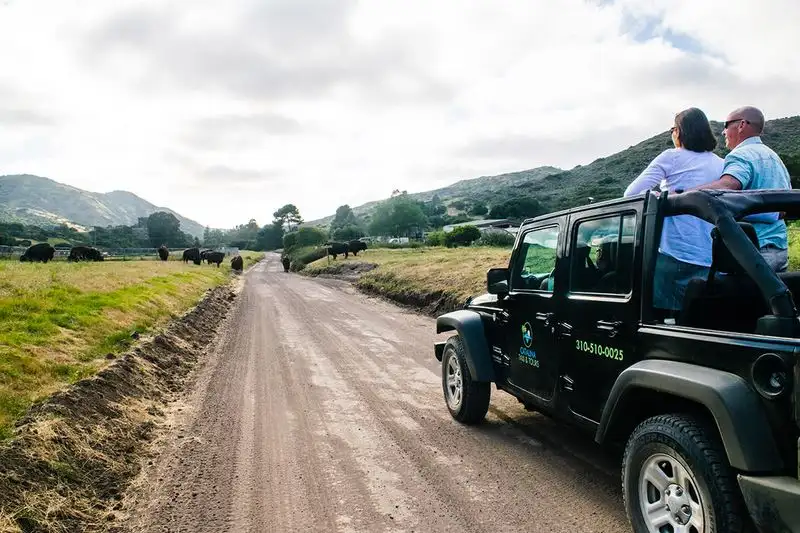 Rugged Jeep Eco Tour