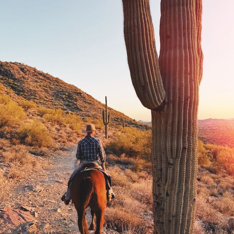 Desert Botanical Garden Tours