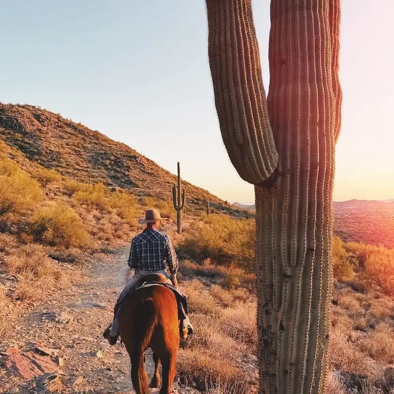 Desert Botanical Garden Tours