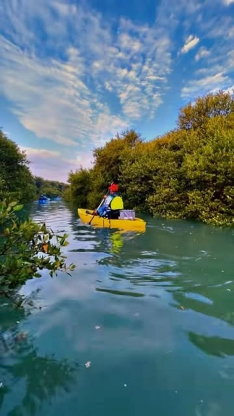 Kayaking Through Mangroves at Hungry Bay