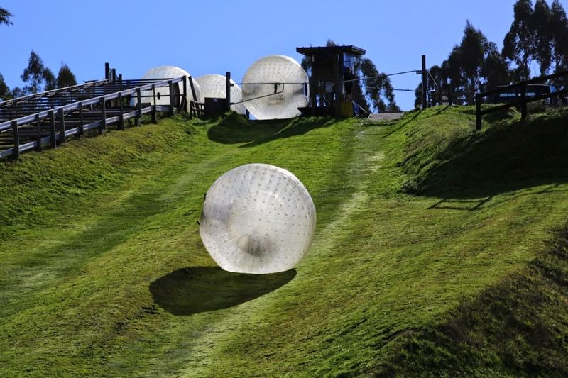 Zorbing in Rotorua