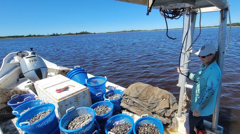 The Seafood is the Real Deal