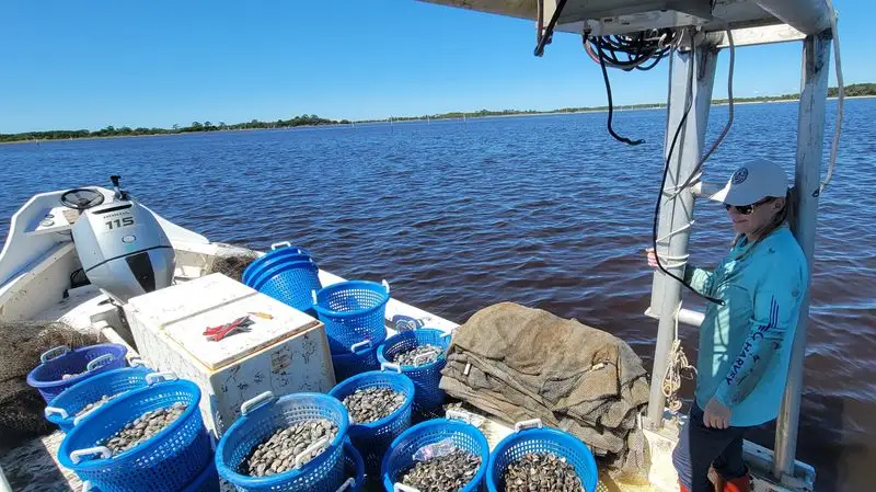 The Seafood is the Real Deal
