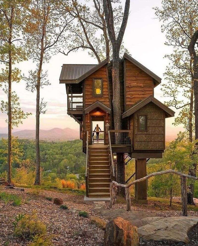 Hickories in Quiet Mountain Hollows