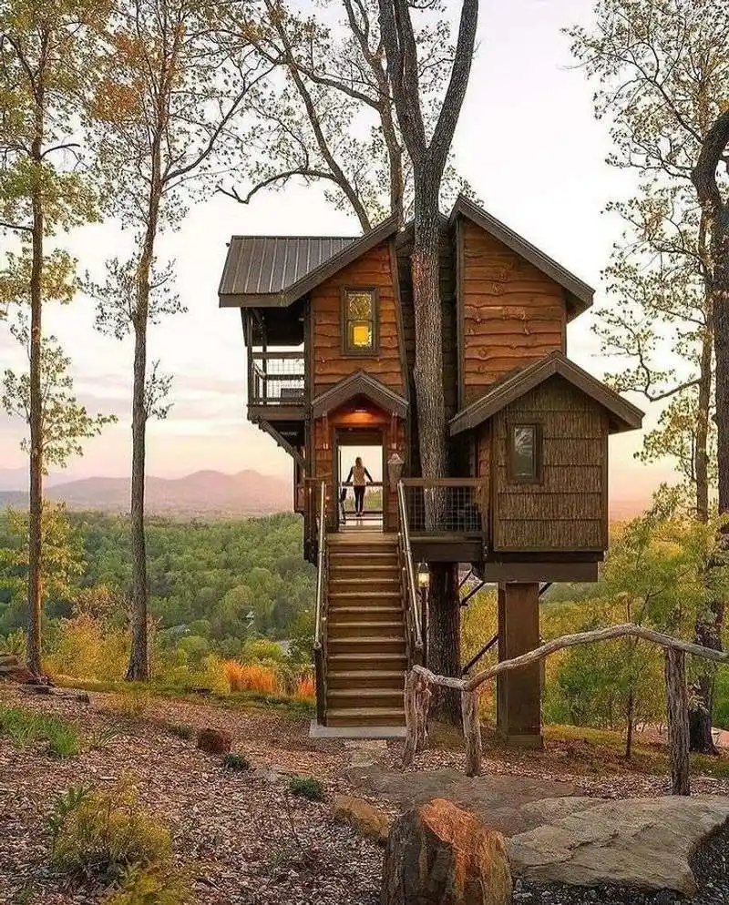 Hickories in Quiet Mountain Hollows