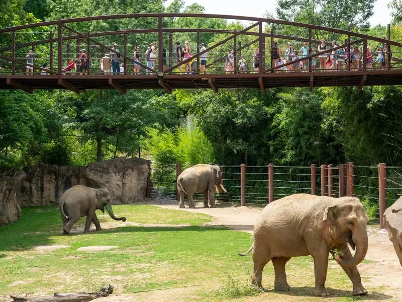 The Smithsonian National Zoo