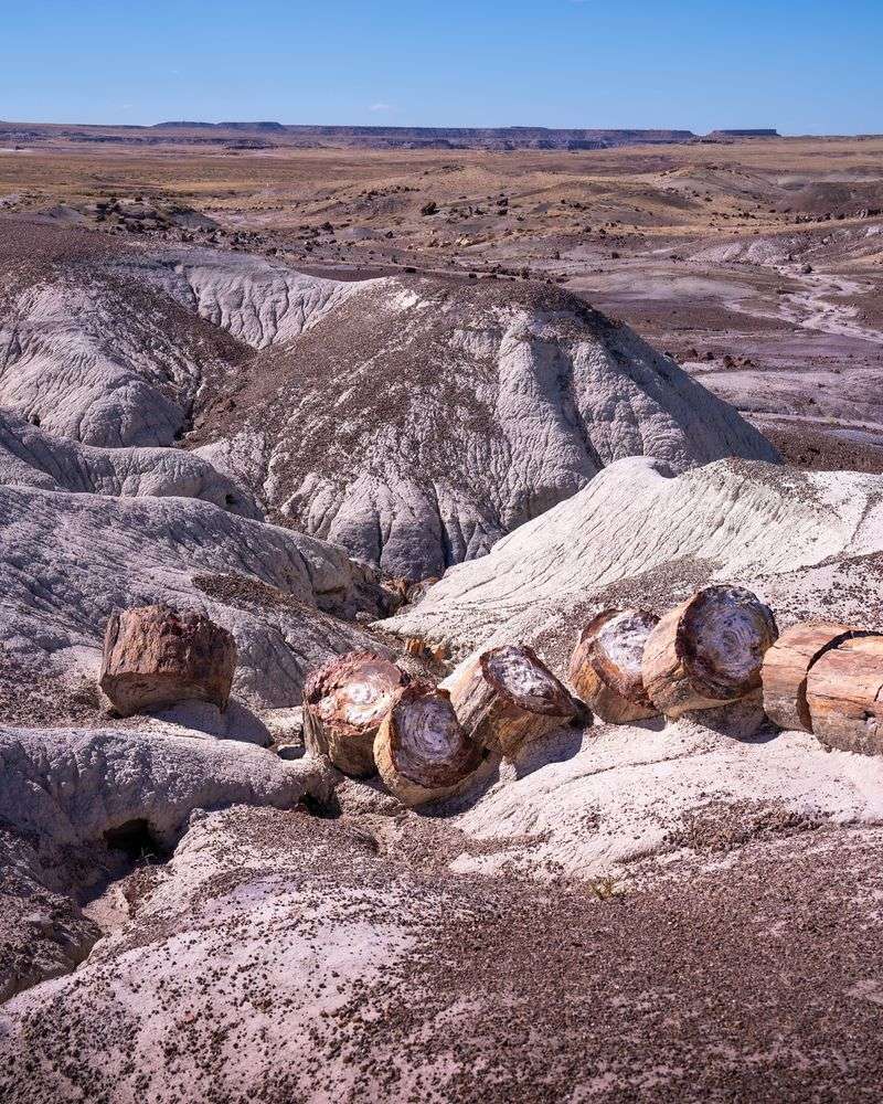 Petrified Forest National Park, Arizona