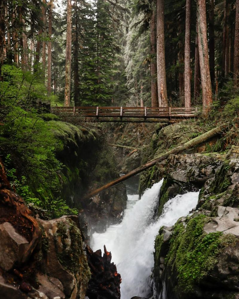 Olympic National Park (Washington)