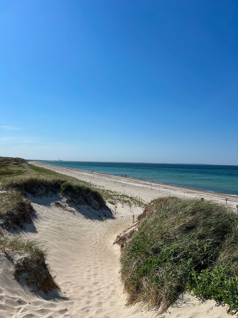 Sandy Neck Beach – Adventure Meets Relaxation in Barnstable