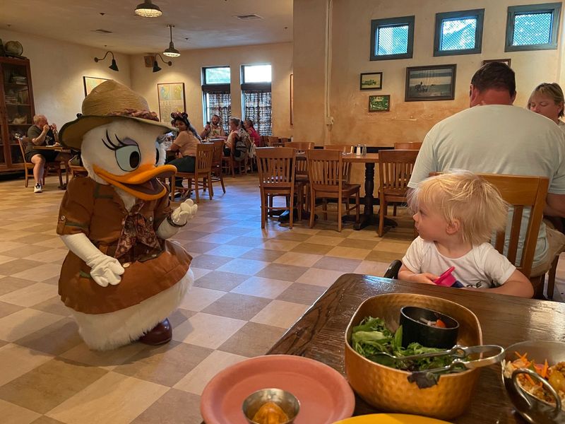 Themed Dining Experiences