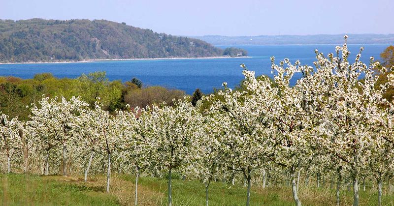 Traverse City