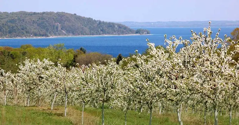 Traverse City