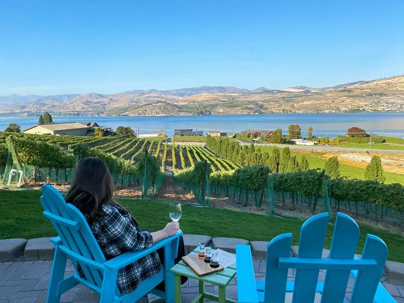 Lush Vineyards and Wineries