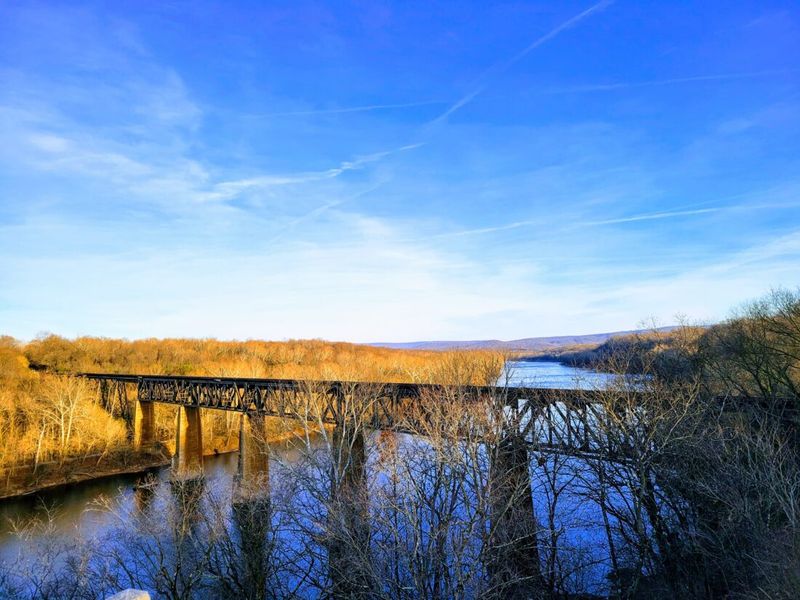 Nature's Playground by the River