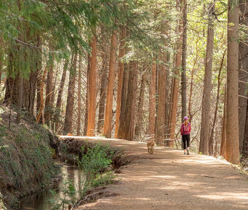 The Nature Escape: Trails and Forest Roads Just Minutes Away