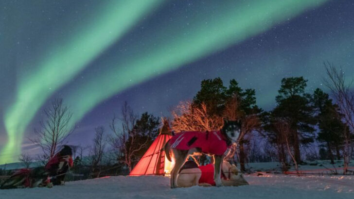 Chasing the northern lights is a journey you’ll never forget