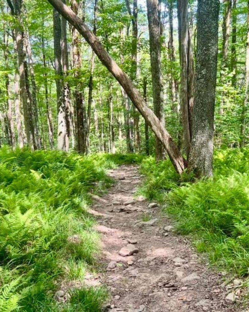 Stuart Recreation Area – Family-Friendly Outdoor Fun