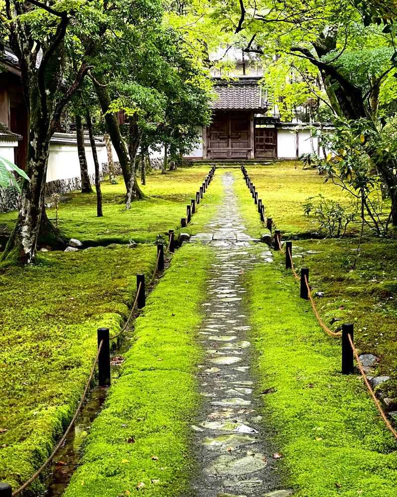 Moss Gardens – Stay on the Path, Even If It Looks Empty