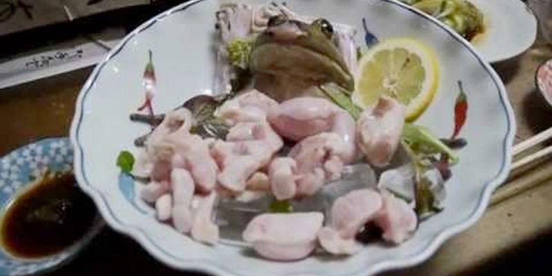 Raw Frog (Asia)