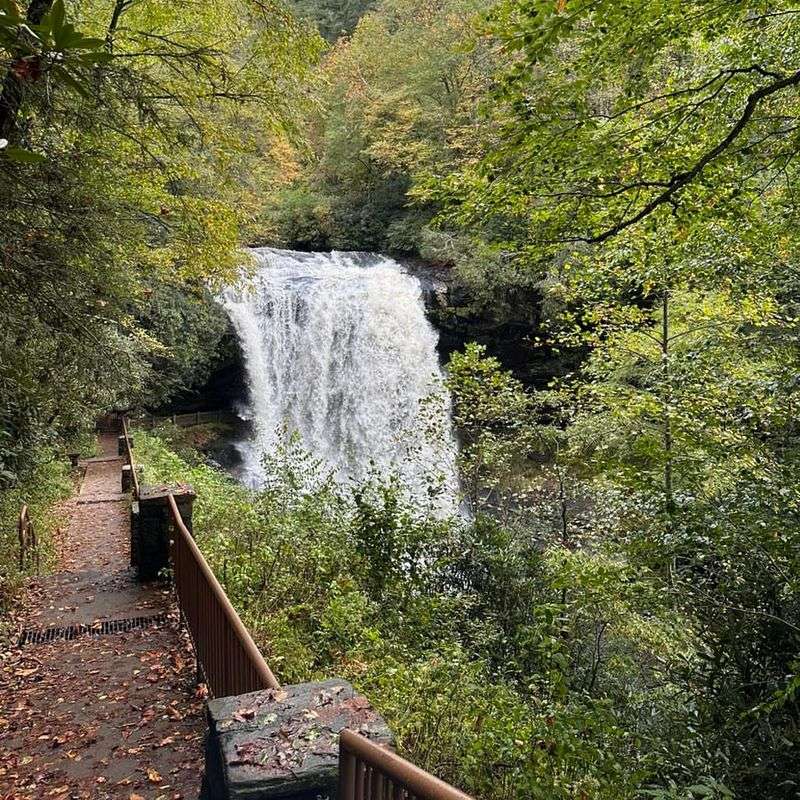 Highlands, North Carolina – Mossy Trails and Rare Flora