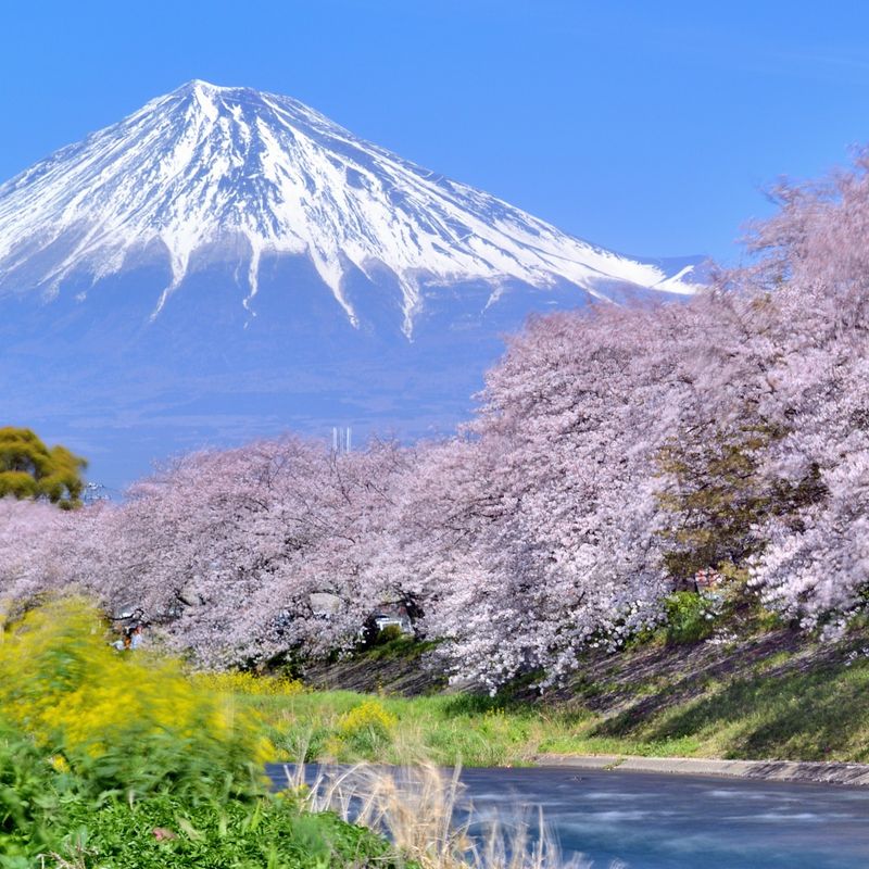 Japan – Mountainous Islands and Seasonal Beauty