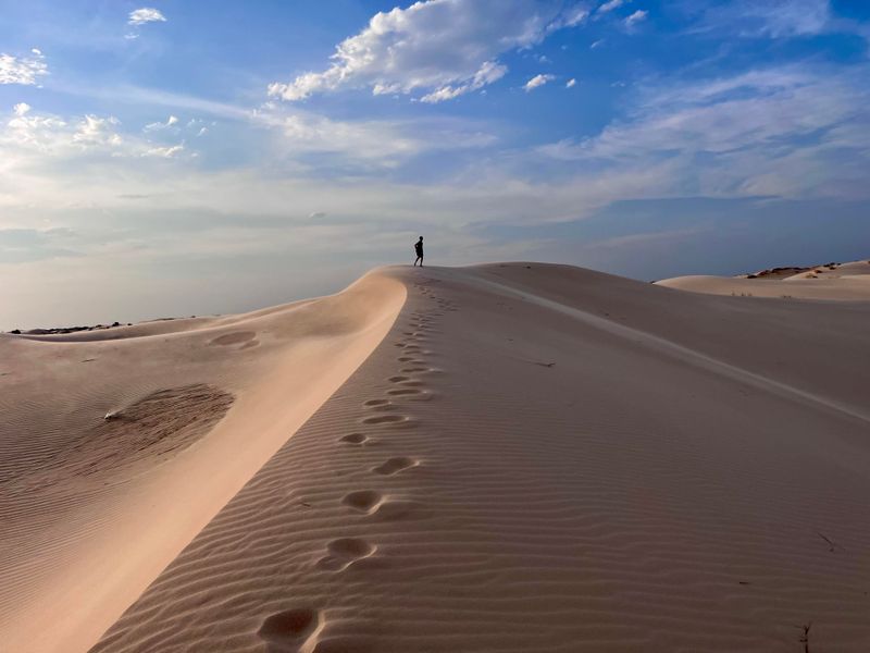 Monahans Sandhills State Park