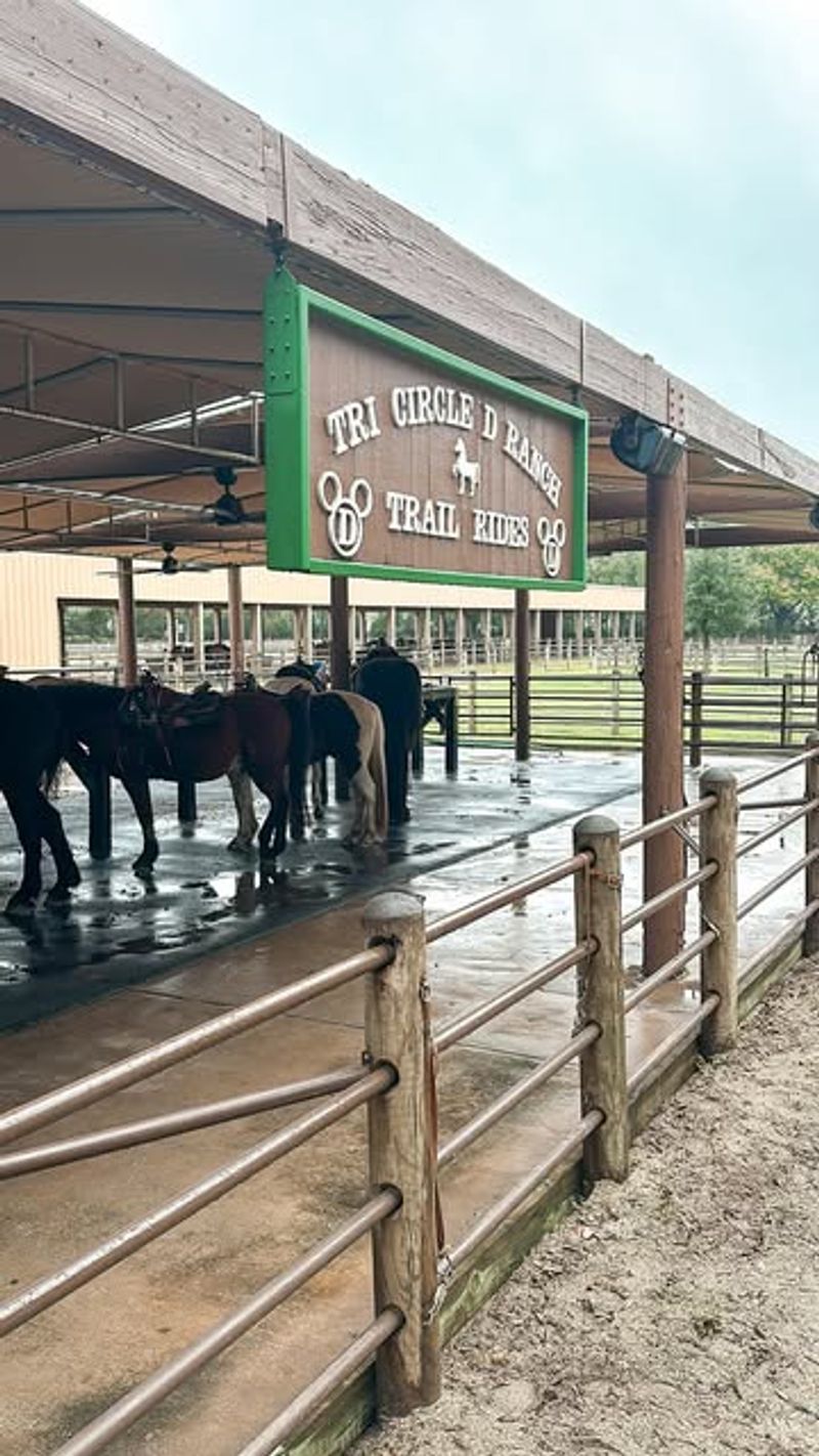 Fort Wilderness Trail Rides