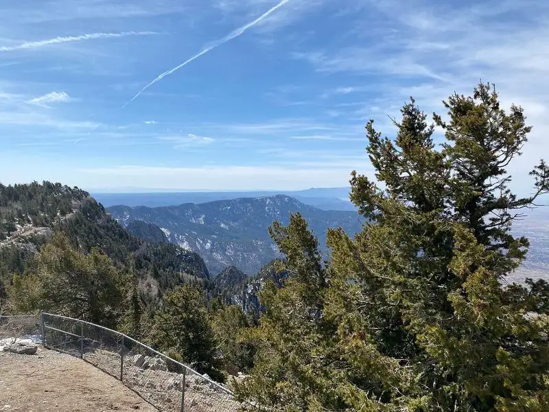 Cibola National Forest