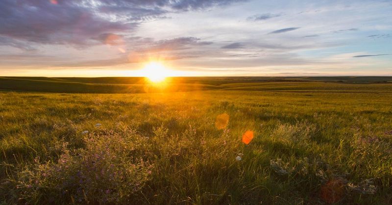 Tallgrass Prairie National Preserve – Kansas