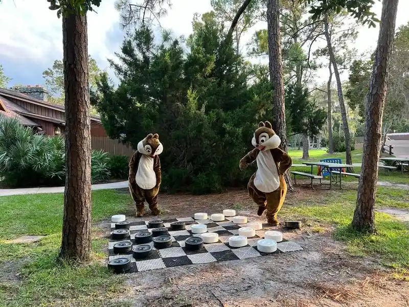 Nature's Playground