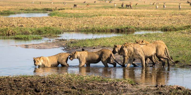 Okavango Delta, Botswana