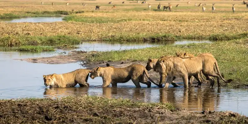 Okavango Delta, Botswana