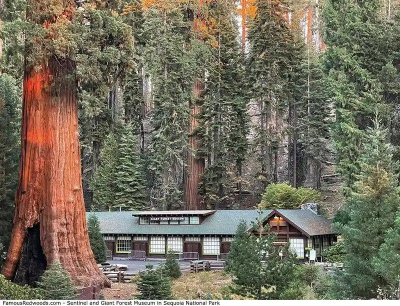 Sequoia National Forest
