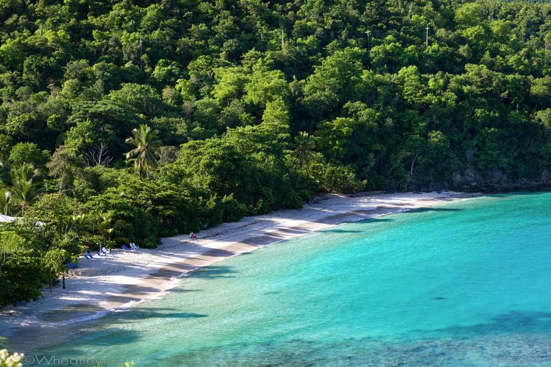 Hawksnest Beach
