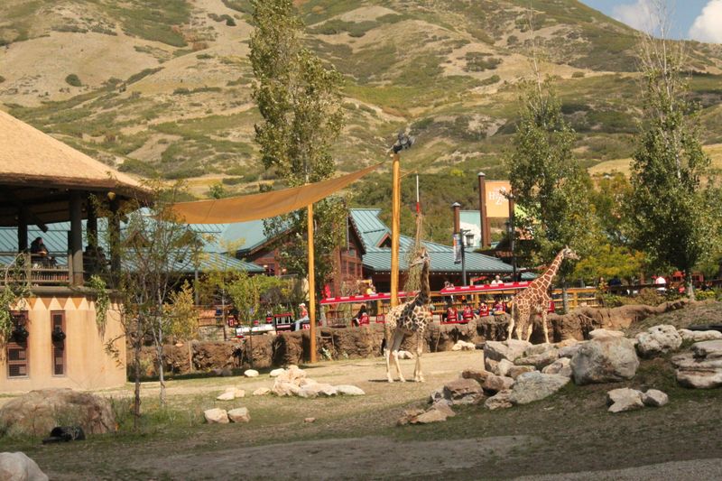 Hogle Zoo
