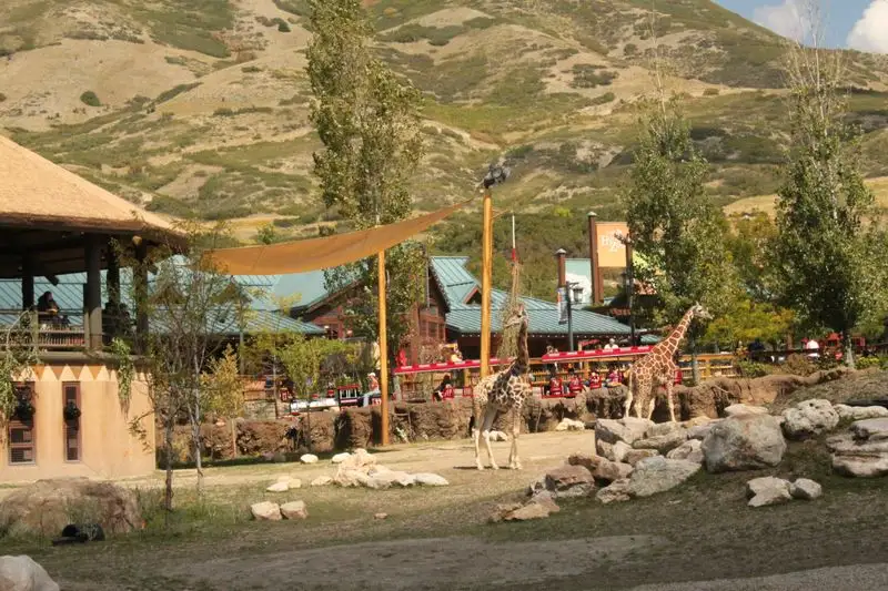 Hogle Zoo