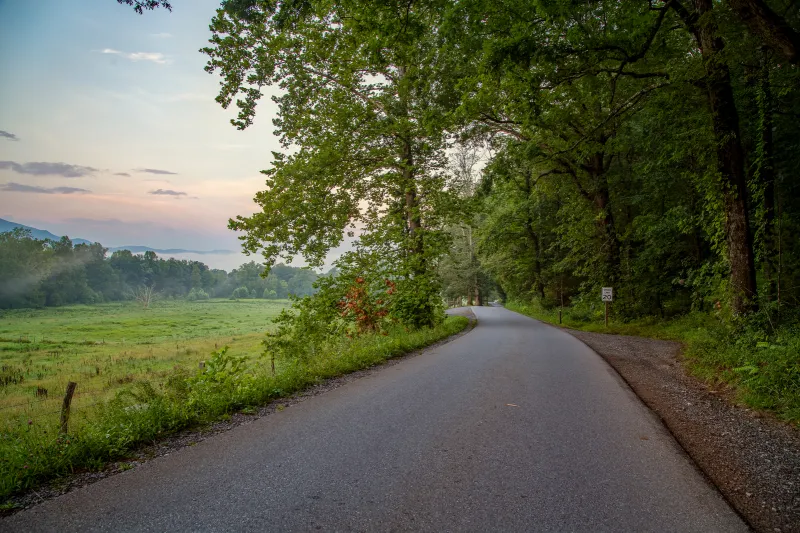 Cades Cove Loop Road