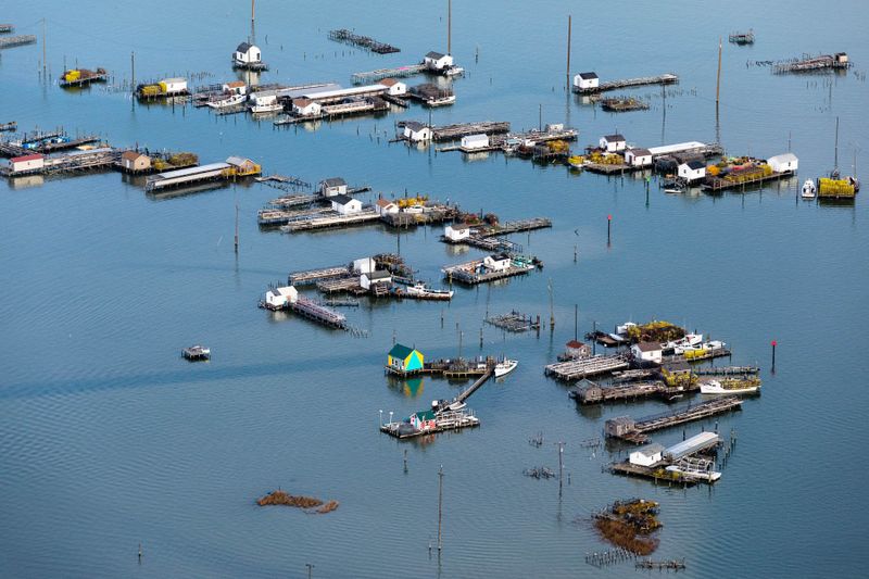 Tangier Island
