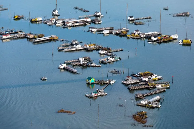 Tangier Island
