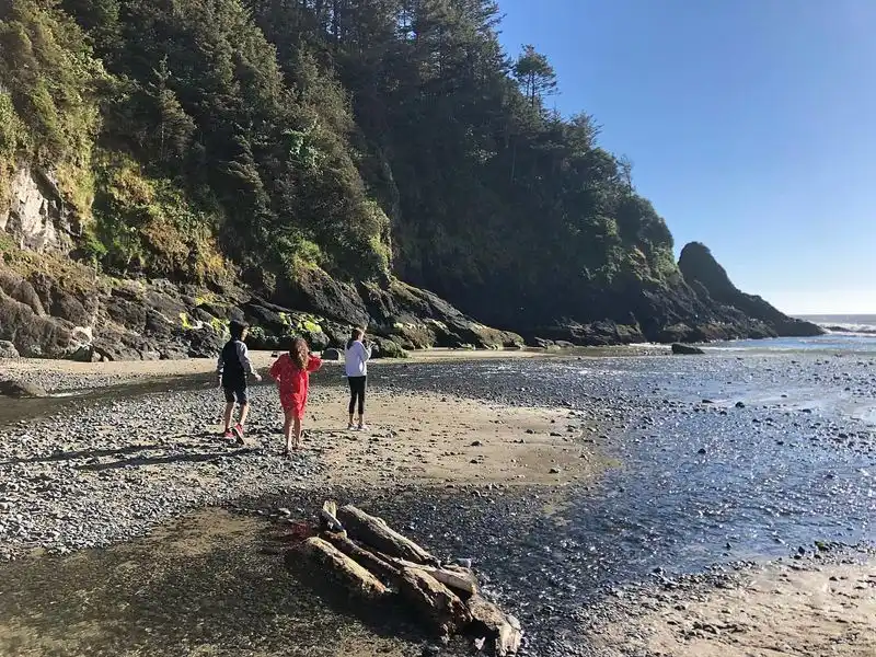 Beach Strawberry