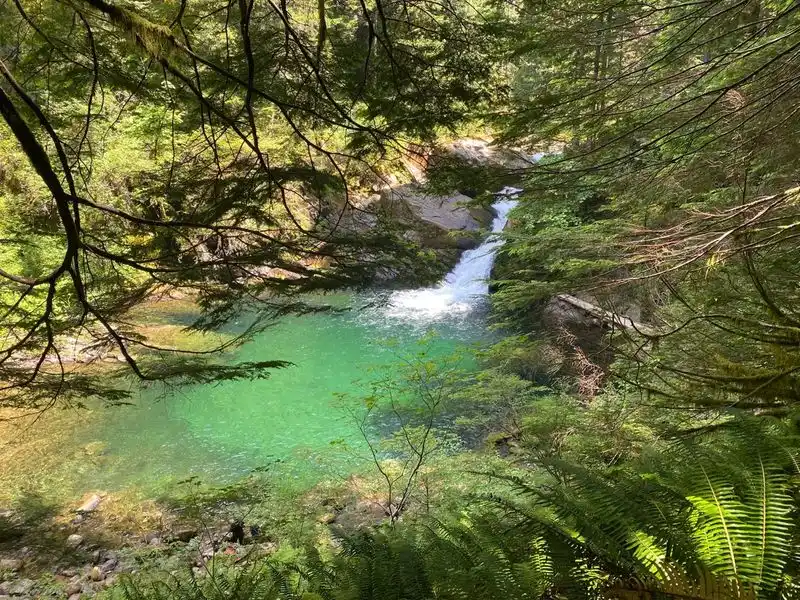 Gifford Pinchot National Forest