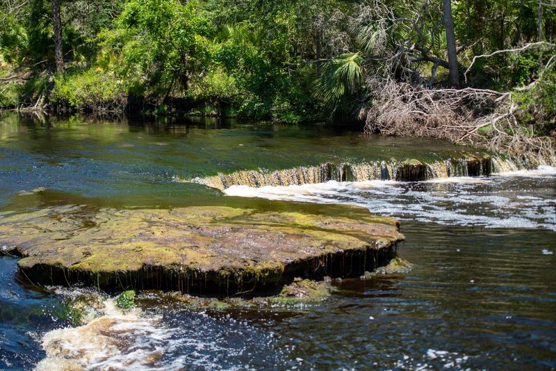 Suwannee River – Florida