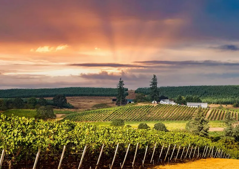 Willamette Valley