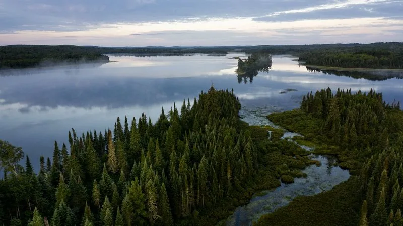 Superior National Forest