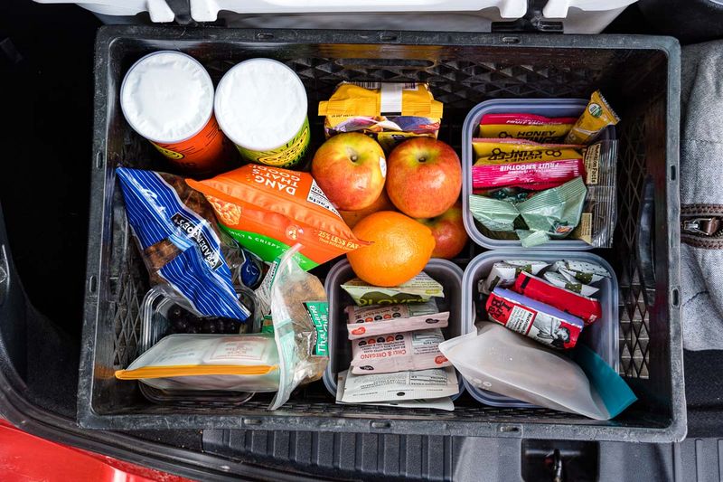 Snacks for Long Travel Days