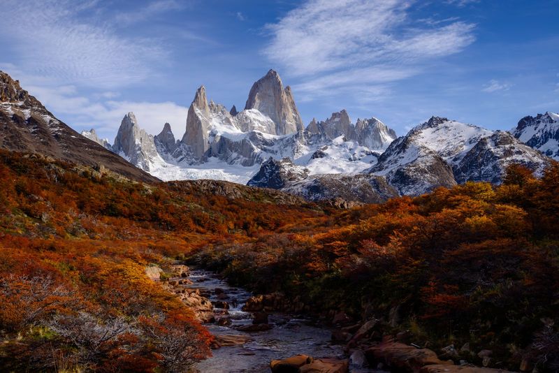 El Chaltén, Argentina – Patagonian Shrubs and Wind-Twisted Trees