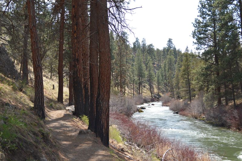 Tumalo State Park