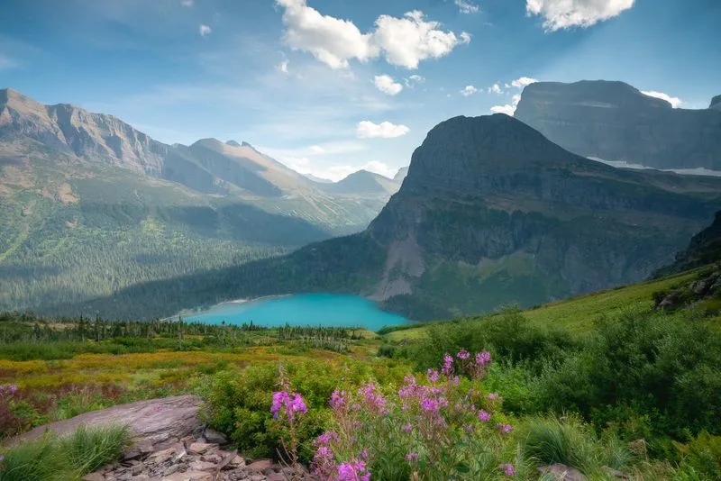 Wildflower Meadows in Montana’s Glacier National Park