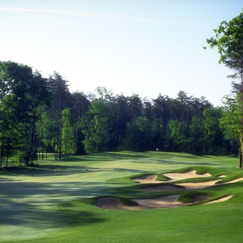 Native Grasses Around the Golf Course and Walking Trails